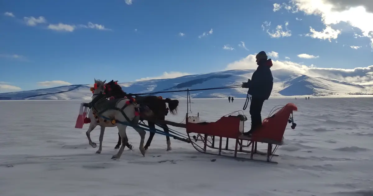 Çıldır gölü buz tuttu, atlı kızakların mesaisi başladı