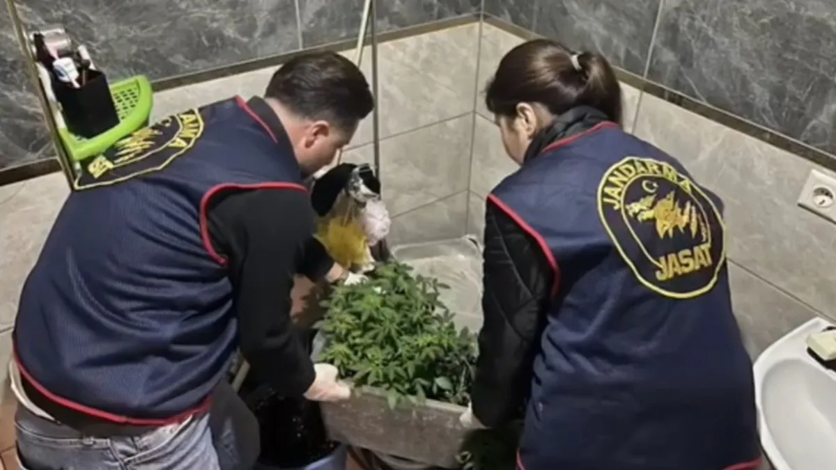 Evlerinde esrar yetiştiren 2 kişi yakalandı