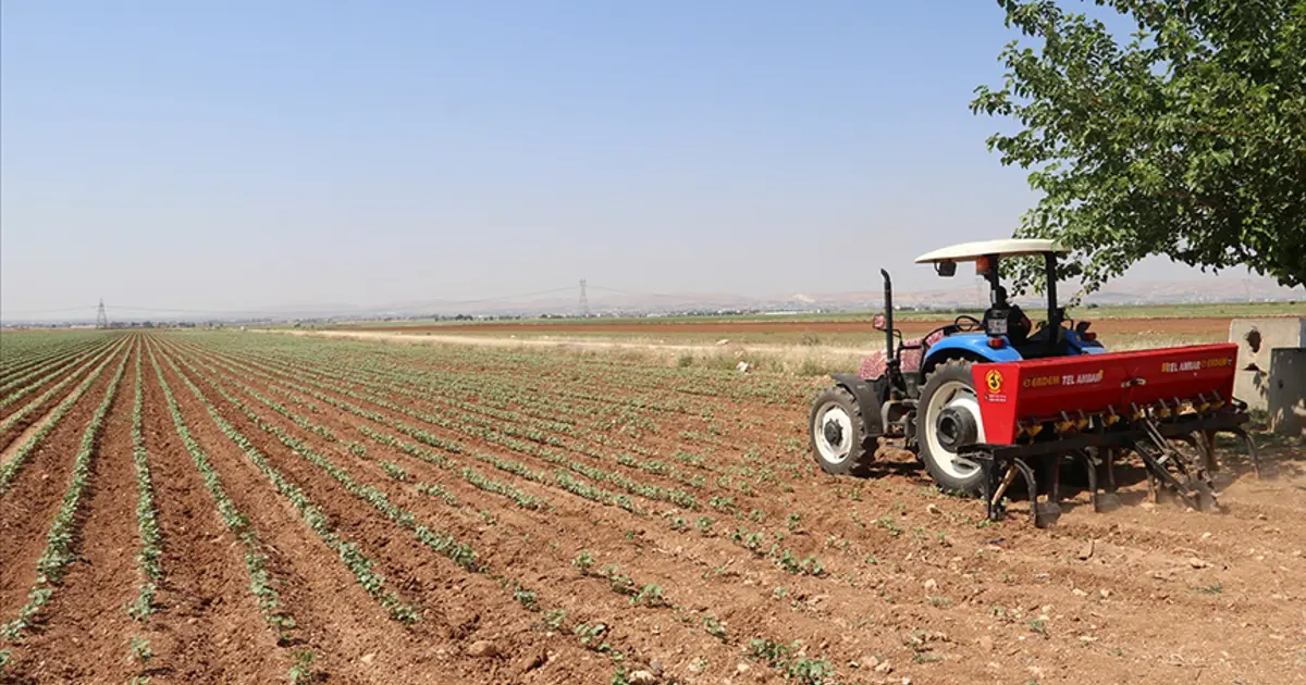 Gübre tedariki için yeni tedbir: Gümrük vergileri sıfırlandı