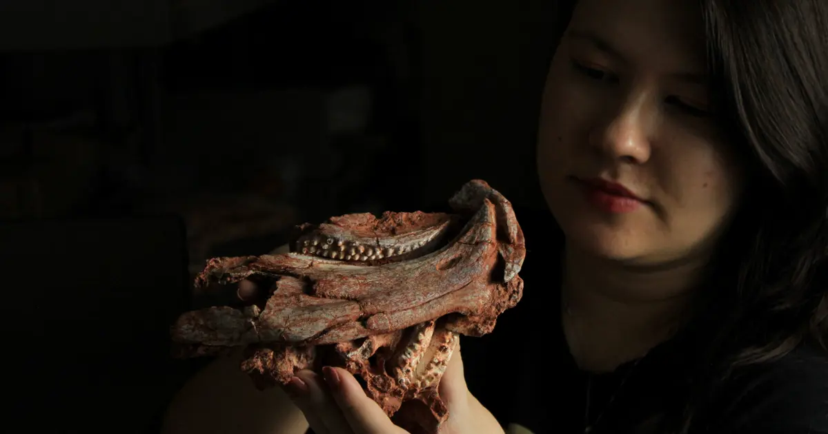 230 milyon yaşında. Brezilya’da papağan gagalı sürüngen bulundu