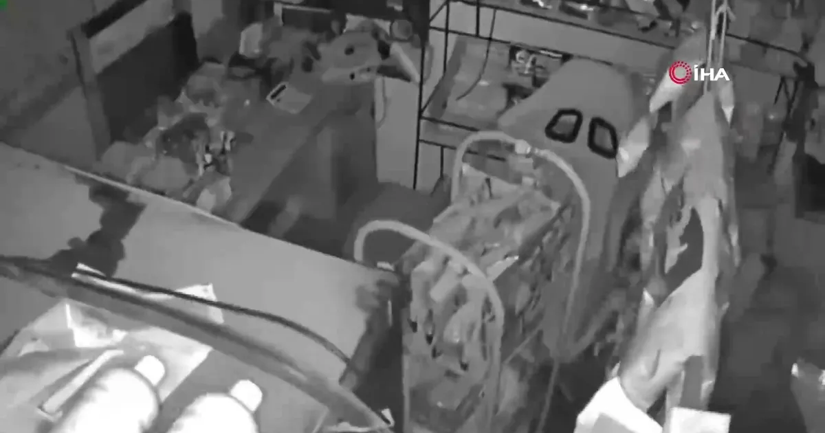 Endonezya 7.4 büyüklüğünde deprem ve tsunami korkusu