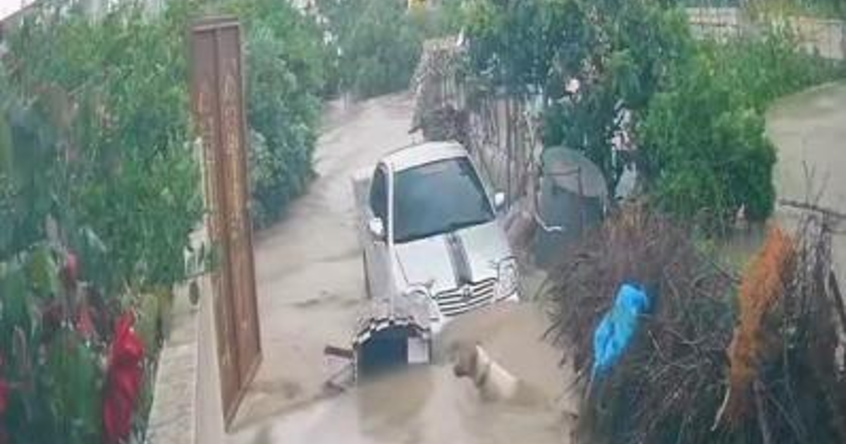Korku dolu anlar: Köpek akıntıya kapıldı