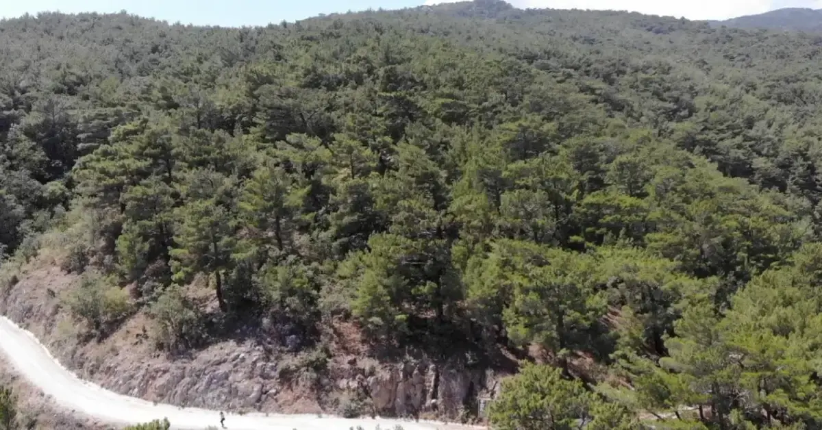 Kahramanmaraş'ta ormanlara girişlere yangın tedbiri